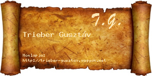 Trieber Gusztáv névjegykártya